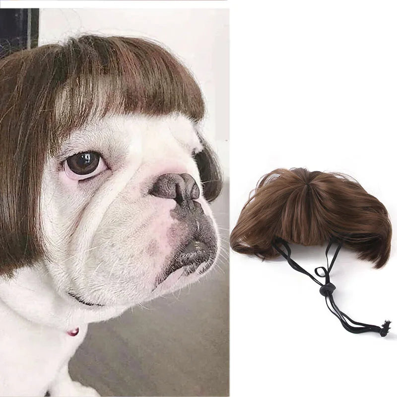 Cute Pet Wig for Cats and Dogs – Adjustable Fashionable Nylon Fiber Costume for All Seasons