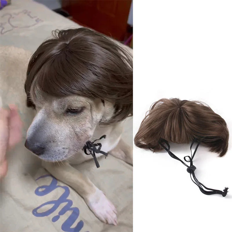 Cute Pet Wig for Cats and Dogs – Adjustable Fashionable Nylon Fiber Costume for All Seasons