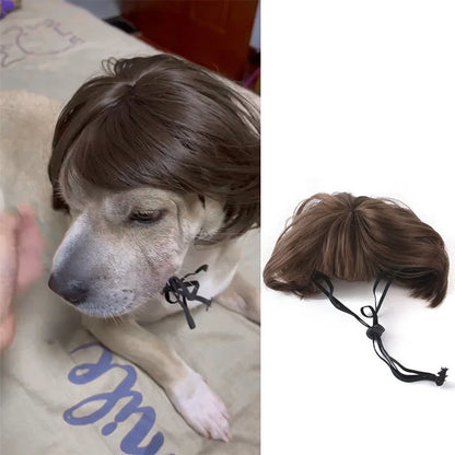 Cute Pet Wig for Cats and Dogs – Adjustable Fashionable Nylon Fiber Costume for All Seasons